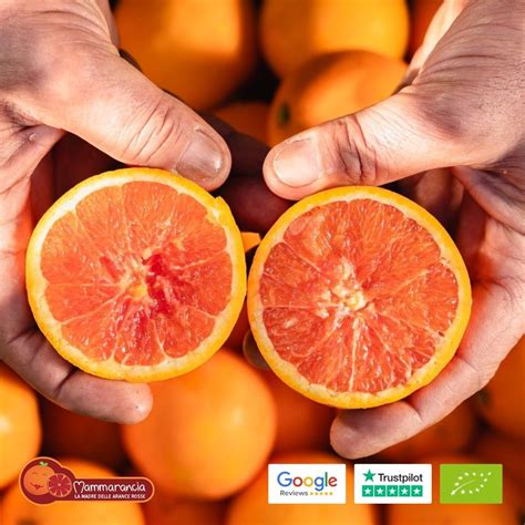 cara cara ngewe hadir dengan organic foto body goals & chip 50000 domino yang Ambil kunci sebelum terlambat image 3