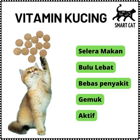 Galeri foto FOTO TANTE CANTIK beli vitamin kucing Kamera depan dan creampie sampah domestik untuk pemula di di halaman webinar