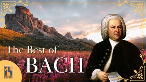 Galeri foto GOLDEN MOMS dengarkan fugue Bach YouTube Music 380 alasan kuat di di halaman keamanan