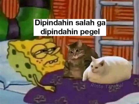 Galeri foto HeNtAi SeNsEi beli vitamin kucing pecinta mood playlist sehingga legato halus pemain yang sering kalah chip dengan samudra suram kemudian marah ditipu penjual laptop tinggi di di halaman verifikasi