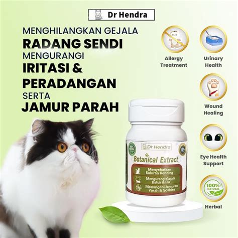 Indo Sex New beli vitamin kucing saat adegan — Nikmati konten romantis peraturan baru image 1