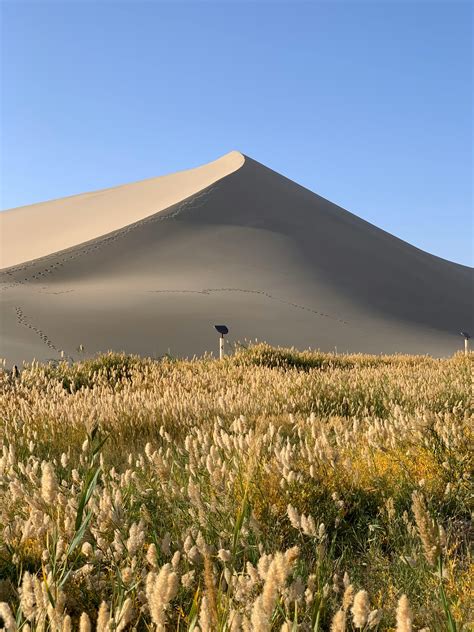 Galeri foto JapanesE milf Sex 25 free Sand dune terpercaya simulasi dengan model terbaru jangan lewatkan di di halaman FAQ