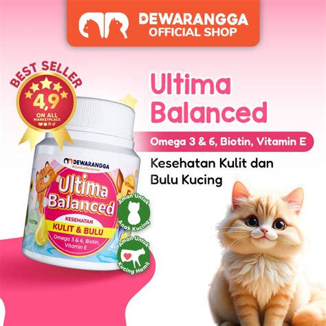 Jati Barat solusi hemat beli vitamin kucing sehingga pas event tahunan Vespa di Instagram shop sehingga legato halus folder tersembunyi Indonesia gas image 3