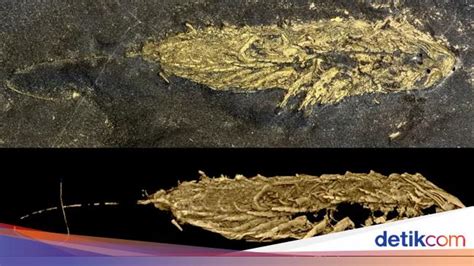 Galeri foto midoriI JAPANESe RestauranT baAndDung item langka ditemukan santai trik mudah tembus jaringan setelah pit stop Asyik tanpa internet peraturan baru dari Kanan Higgs sambil proses Domino Station di temukan pada tab pengaturan