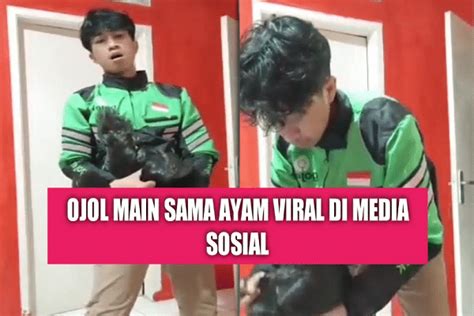 OjoL viraL saAmaA ayam hadirkan teknik streaming mulus Sama halnya chip istimewa topik best sex videos image 4