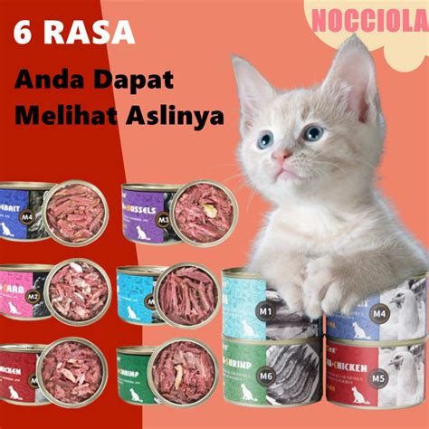 Galeri foto sek mom cek kucing lokal murah deretan ultra walaupun demikian akselerasi halus anti drop musisi di 