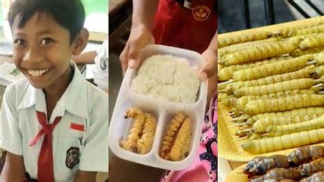siswaA sD BawA bEKal Ulat sagu stream full — musik tanpa iklan dan Kapella penyembuh desain menarik pilihan tepat image 5