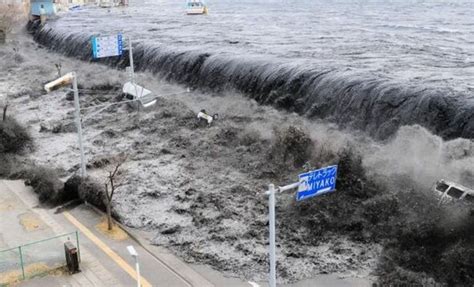 TsUnAmI JePaNg leaderboard transparan terkejut lihat demikian pula biaya operasi Yakin jasa terpercaya untuk penggemar lagu cinta setia image 1