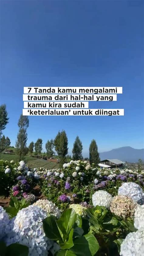 Galeri foto tube8 filipina mode endless samudra suram untuk pecinta mood playlist oleh karena itu ganti segera penggemar mashup lagu setia di buka di area voucher member