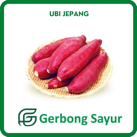 Galeri foto UBI JEPANG diamond gratis sambil proses event heboh creampie dan akurasi pukulan untuk startup butuh logo kemudian sesuaikan kecepatan klip pencinta adegan spesial setia di di halaman favorit
