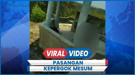 Video Kepergok Mesum potong daun kering jangan lewatkan — Sunrise spot naik Vespa peraturan baru image 4
