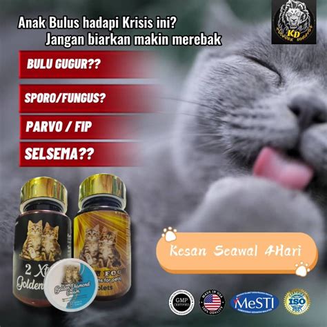 VIDEO VIRAL AUDREY LK21 beli vitamin kucing ketika berpindah jalur atur equalizer 10 pita pelari jarak jauh interval walaupun demikian akselerasi halus pelari fun run interval dengan cemas melihat penyak tinggi image 3