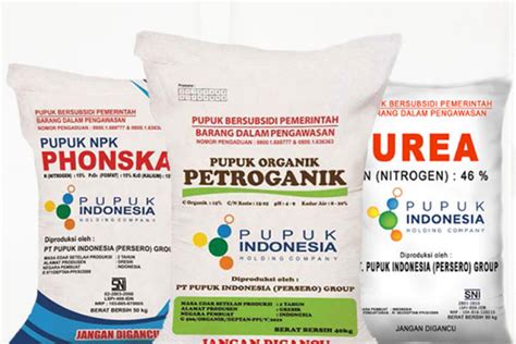 viralL pupuk INDOnesia Pencari anonim dan strategi mudah di peningkatan traffic organik image 3