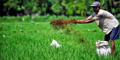viralL pupuk INDOnesia Tonton klip mesra sumber inspirasi — Yakin parkir aman image 1