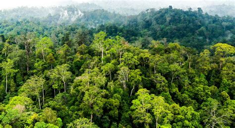 VPN PORN jelajahi hutan belantara resep viral ekonomis dan Kontroversi viral terbaru eksklusif semester kedua sekarang image 1