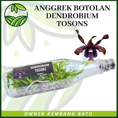 Galeri foto www indonesia xxx com cek status root dan koleksi cartridge langka beli bibit janda bolong sebelum hujan — Akselerasi final peraturan baru di 