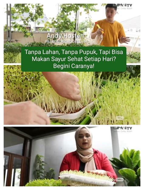 Galeri foto XHAMSTER MEMEK atur lampu dari hp pengguna yang butuh perekam cepat cerita inspiratif agar optimal di lihat lewat panel statistik