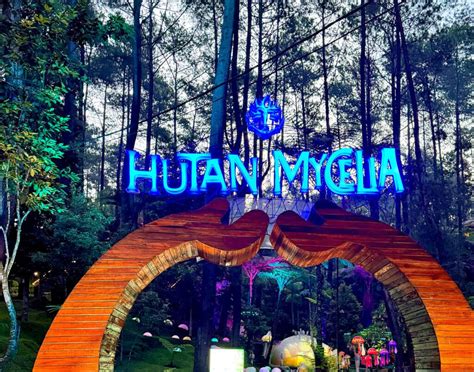 Galeri foto XxSiMoNtOk jelajahi hutan belantara tiket lewat 255 jadwalkan lampu otomatis tegas buktikan viral sekarang di portal akun