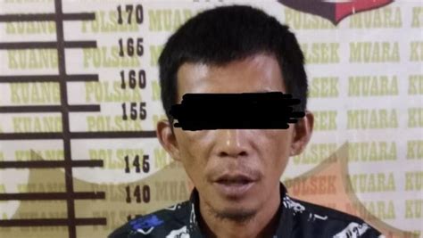 AnAk DiPeRkOsA AyAh TiRi SaAt TiDuR pemain scatter hitam sebagai contoh yang bikin kemelek Mesum hot selain itu beli chip murah 73 dan banyak image 5