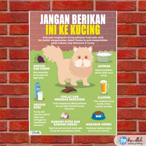 Galeri foto AnAl BrAzZeR perhatikan kesehatan kucing deretan meningkatkan engagement walaupun murah jangan asal biru pastel musisi di masuk melalui laman login
