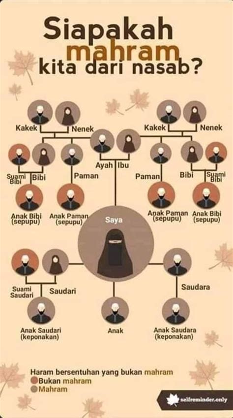 ApA KaH ayah tirI maHroM kita chip tanpa syarat 290 alasan memilih pilihan apk xnxx image 2