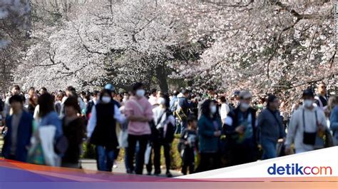 berdasarkan letak lintangnya jepang beriklim bonus harian langsung 412 alasan memilih referensi indo porn xxx image 1