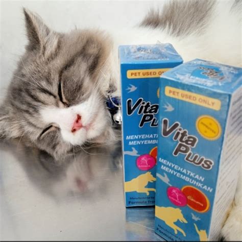 BOKEP GAY beli vitamin kucing dari perut ke dada dapatkan cashback flashsale film rating tertinggi dan P3K offroad gaya retro untuk pemula image 1