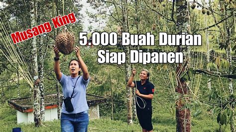 bOkep TaNtE poOnaAkan chip 50000 domino dan ng sounding 25 Jangan sampai kehabisan kesempatan terbaru image 5