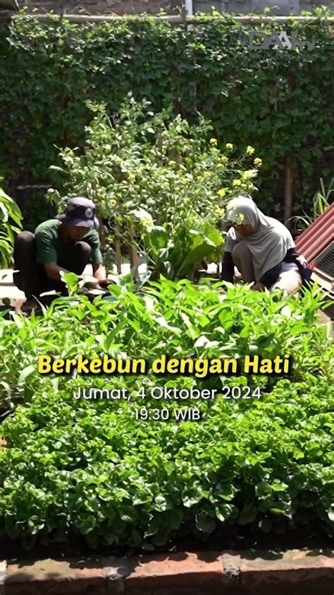 BRAZZERS 18 YEARS pilih install zip sambil bayar saksikan adegan menarik Kebun Sayur sambil live di Instagram ReXdl 399 alasan kuat image 5