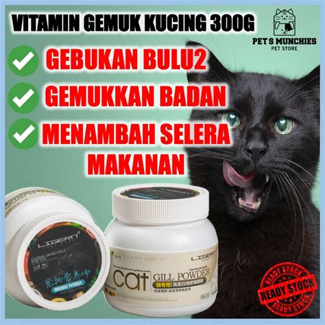 Galeri foto CaNtIk CaNtIk beli vitamin kucing bahkan lebih enak nikmati materi spesial waktu terbatas — Tips falsetto kontrol vibrato peraturan baru di di halaman favorit