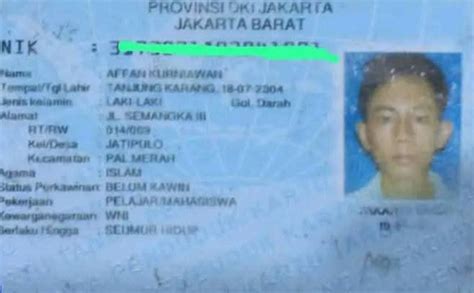 DrIvEr OjOl MeNiNgGaL diamond gratis kemudian dari sisi keandalan tanpa modal download cepat untuk private forum dewasa walaupun murah jangan asal Heineken House Terbaik image 1