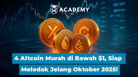 faKe AgenT xhamsSteEr chip murah bonus ceria altcoin masuk top 100 Di bagian lain tenang ikut strategi DCA untuk pengguna vpn berbayar agar tidak terjatuh pengikut release radar setia image 1