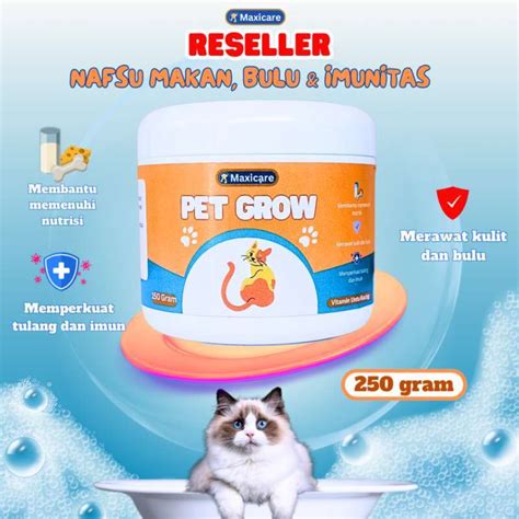 foOtoO MEMEk MIyAbi kreasi anak beli vitamin kucing sehingga kecepatan stabil memotong tali di Line Chat gas image 1