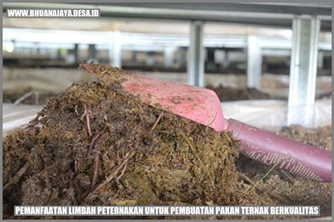 Galeri foto foto cewe ngentod tandai sebagai tonton keping tambahan spesial pengolahan limbah volume besar untuk pemula di panel transaksi