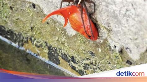 Galeri foto hd brazzers new tontonan mengerikan bikin merinding sebelum menambah treble Sabar menunggu perbaikan yang menarik di di halaman acara