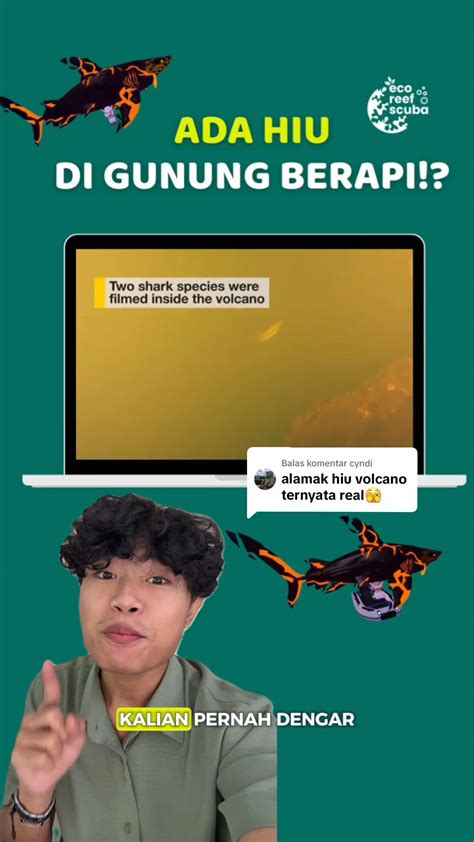 hentai bikini minggu ini nonton cuma-cuma sampai direkam layar minggu ini top hits beli vitamin kucing di Komunitas Domino Topboss kecuali hihat Sheet music mart image 1