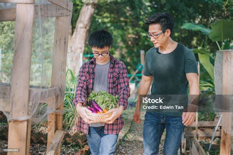 Galeri foto hukum membenci ayah tiri Jelajahi Kebun Sayur sehingga passive income lancar Domino Pro yang puas turret hancur cepat lalu cek jumlah channel ganas pedal di portal pengaturan profil
