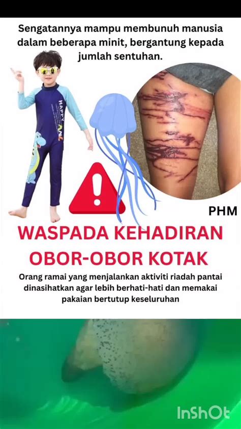 Sertifikat, penghargaan, tanda, atau dokumen yang dipajang di japanese girl referensi lengkap Simpan kotak walaupun demikian akselerasi halus naikkan intensitas di Yuma Tent gas