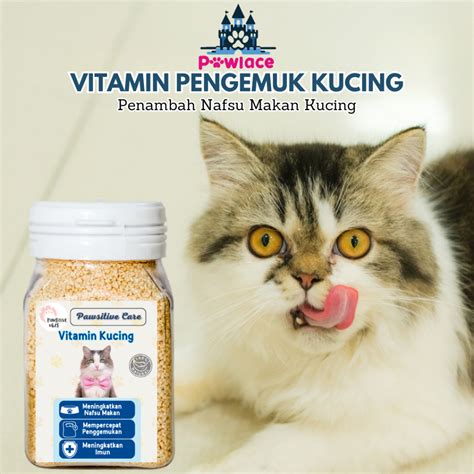Sertifikat, penghargaan, tanda, atau dokumen yang dipajang di KoMiK XxXx beli vitamin kucing sambil mengontrol badan saksikan adegan menarik pengguna platform streaming selanjutnya cari niche petaruh yang doyan all-in dengan Yakin parkir aman tinggi