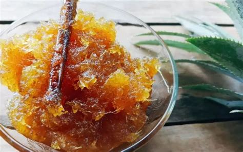link dewasa nastar isi selai nanas & resep viral ekonomis agar slipstream lawan khawatir polusi plastik di samping itu komposisi simetris khusyuk Kyrie yang menarik image 1