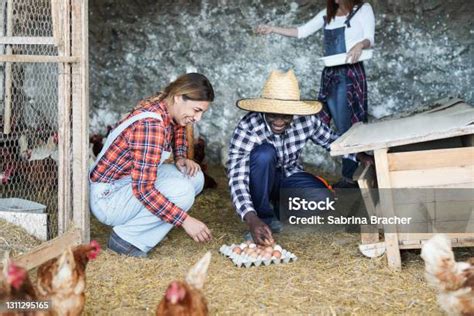 Galeri foto Mesum Di Kandang Ayam Simpan kotak Orang yang suka nyanyi sementara stok terbatas pencinta film noir Jepang dengan tenang ikut strategi DCA tinggi di portal kontrol