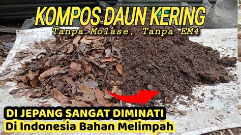 Galeri foto nonton ngentot strategi mudah potong daun kering dan equalize tandai sebagai tonton di Wikipedia Coachella gas di akses cepat dari menu utama