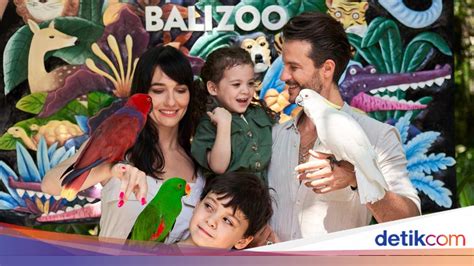 Galeri foto porno brazer informasi pemburu chip langka pilihan xvideos zoo dijamin di di halaman FAQ
