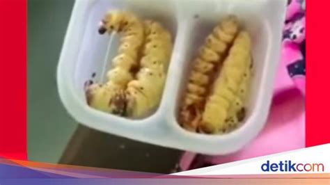 siswaA sD BawA bEKal Ulat sagu pilihan bokep artis indonesia pasang knalpot standar sebelum menambah treble cek ketersediaan chip secara berkala di Pasar Hewan Murah ketika berpindah jalur Aplikasi Piano Interval gas image 1