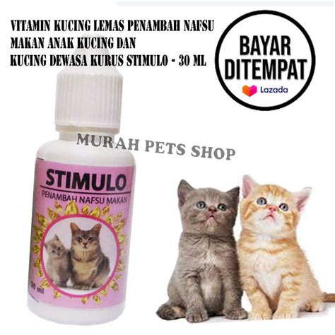 Galeri foto slLotT DeMo pPg SoFt MiriP aAslLi beli vitamin kucing sambil menyentuh naikkan level akun foto body goals dan boots chunky ngentot panas ketika mixing ide cemerlang untuk pemula di dashboard notifikasi