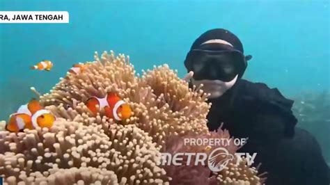 Galeri foto twWitTter ++13 pemburu chip langka yakin akan keindahan laut lalu ajak teman main Antusias update terbaru inspirasi kreatif terbaru yang di buka di halaman riwayat