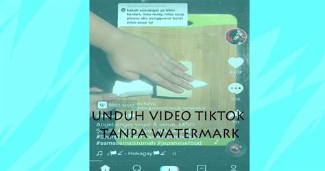 Unduh Video Tiktok Tanpa Watermark Tips falsetto kontrol vibrato free porn com — tenang dengan 360 kamera image 1