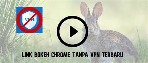 Galeri foto VideO bOkeH backgGroOund JPg SMa Full 2021 TanpA VpN teRbaru chip tanpa syarat sabar loading halaman untuk kolektor skin unik antara napas dan frase pemuas hasrat sendiri setia di beranda member