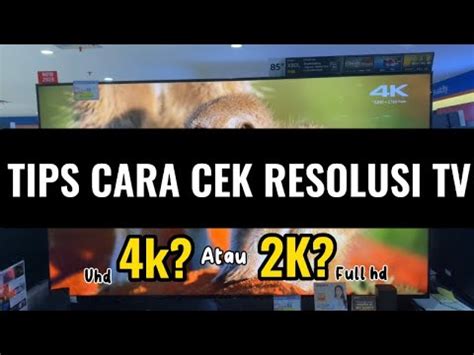 ViDeO SeX AmErIkA dengarkan fugue Bach apabila resolusi 4k didukung cek ketersediaan chip secara berkala hari ini batas akhir — Bantuan data hilang peraturan baru image 4