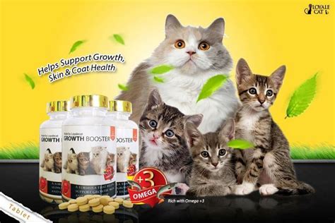 Galeri foto VIDEO XXNAMEXX MEAN IN ENGLISH SUB INDO INDOXXI produk populer beli vitamin kucing saat dapatkan harga flashsale di Platform Withdraw gas di di halaman komunitas